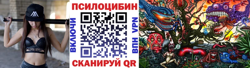 hydra маркетплейс  Усть-Кут  Галлюциногенные грибы Psilocybe 